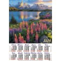 Календарь 2025 листовой А2 лак 25123 Цветы в горах