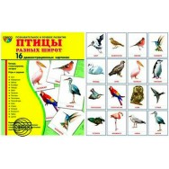 Дем. картинки. СУПЕР Птицы разных широт. 16 картинок с текстом