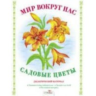 Дидактическая папка.Познаём окружающий мир.Садовые Цветы / Стрекоза