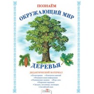 Дидактическая папка.Познаём окружающий мир.Деревья / Стрекоза