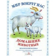 Дидактический Материал.Мир вокруг нас. Домашние животные / Стрекоза