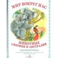Дидактический Материал.Мир вокруг нас. Животные Америки и Австралии / Стрекоза