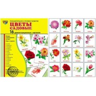 Дем. карточки. СУПЕР Цветы садовые. 16 картинок с текстом