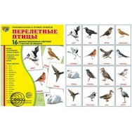 Дем. картинки. СУПЕР Перелетные птицы. 16 картинок с текстом