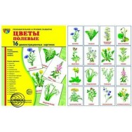 Дем. карточки. СУПЕР Цветы полевые. 16 картинок с текстом