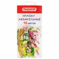 Акварель Пифагор 12 цветов медовые,б/кисти, картонная коробка,ПС подложка,192549