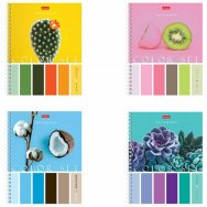 Тетрадь Hatber А5 80л. клетка на гребне Color Set (4 вида в спайке), 80Т5В1гр, 404491