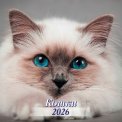 Календарь 2026 на скрепке 300*300 мм КПБ2602 
