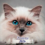 Календарь 2026 на скрепке 300*300 мм КПБ2602 