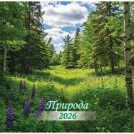 Календарь 2026 на скрепке 300*300 мм КПБ2612 