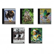 Тетрадь E.Krause А5 48л. клетка 