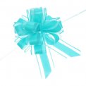 Бант подарочный Чудо, 5см, D-15см Мятный, 214-255