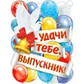 Плакат оформительский 595x450 мм P2V 270 Удачи тебе, выпускник! ФДА