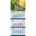 Календарь 2027 квартальный трехблочный 730*295 мм КТ-27-025 