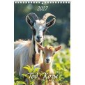 Календарь 2027 на пружине малый 170*250 мм 1027003 