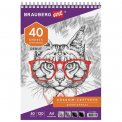 Скетчбук Brauberg ART DEBUT белая бумага 120 г/м2, 205х290 мм, 40 л., гребень, жёсткая подложка, 110984
