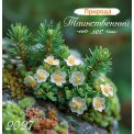 Календарь 2027 на скрепке 230*235 мм ПК-27-055 