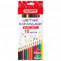 Карандаши цветные Пифагор ЭКО 