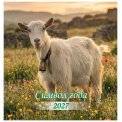 Календарь 2027 на скрепке 230*230 мм КПС2709 