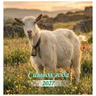 Календарь 2027 на скрепке 230*230 мм КПС2709 