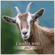 Календарь 2027 на скрепке 300*300 мм КПБ2709 