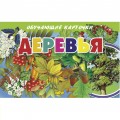 Обучающие Карточки. Деревья / Литур