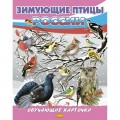 Обучающие Карточки. Большой Формат (А4) Зимующие птицы России / Литур