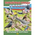 Обучающие Карточки. Большой Формат (А4) Перелётные птицы России / Литур