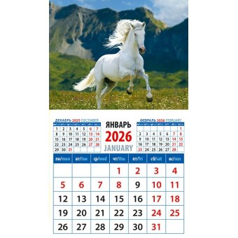 Календарь 2026 на магните с отрывным блоком 94*167 мм 20630 