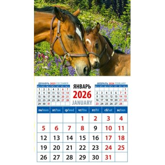 Календарь 2026 на магните с отрывным блоком 94*167 мм 20631 