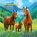 Календарь 2026 на скрепке 300*300 мм БПК-26-006 