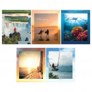 Тетрадь BG А5 96л. клетка 