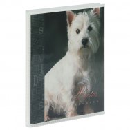 Фотоальбом Artspace 36 фото 10*15см, 