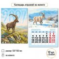 Календарь 2027 на магните отрывной 100*135 мм 10333 Символ Года / Квадра-Принт
