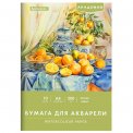 Папка Brauberg Академия для акварели А4 210х297мм, 10 листов 200 г/м2, Апельсины, 117743